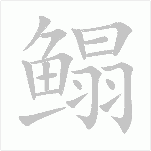 鳎字动态笔顺演示