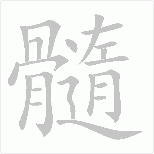髓字动态笔顺演示