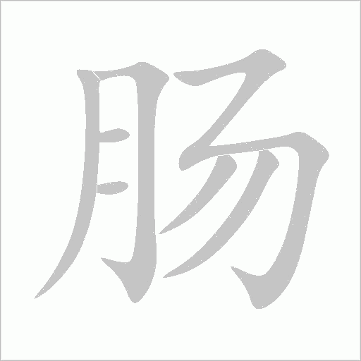 肠字动态笔顺演示