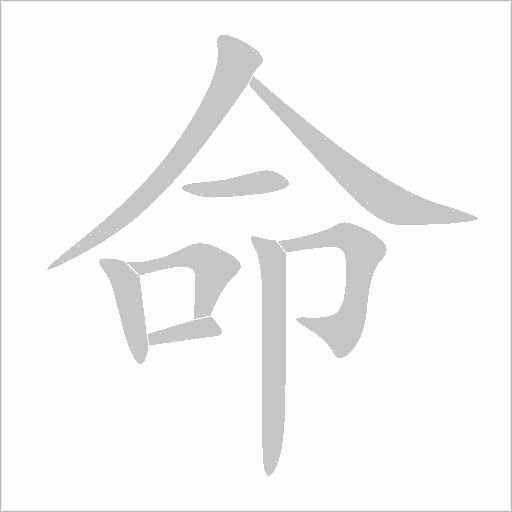 命字动态笔顺演示