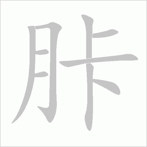 胩字动态笔顺演示