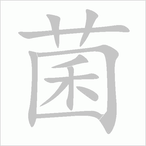 菌字动态笔顺演示
