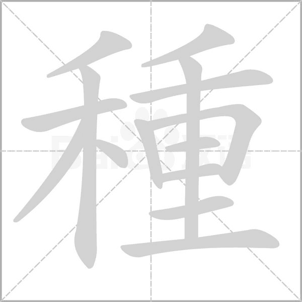 種字动态笔顺演示