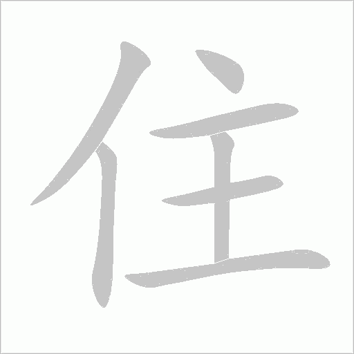 住字动态笔顺演示