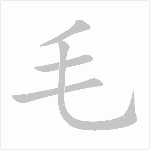毛字动态笔顺演示