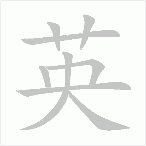 英字动态笔顺演示