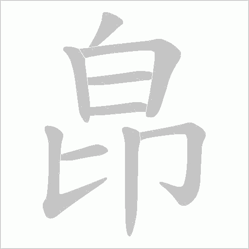皍字动态笔顺演示