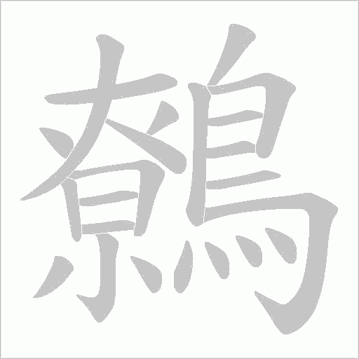 鷯字动态笔顺演示