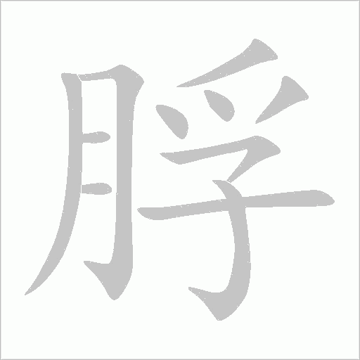 脬字动态笔顺演示