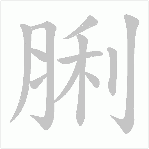 脷字动态笔顺演示