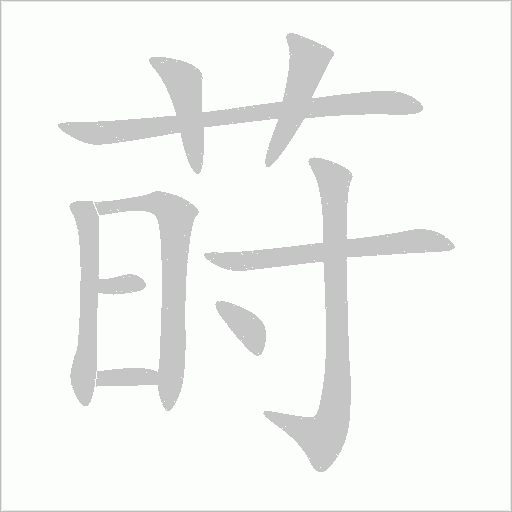 莳字动态笔顺演示