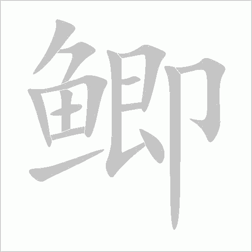 鲫字动态笔顺演示
