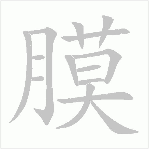 膜字动态笔顺演示
