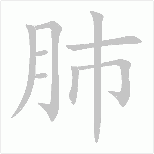 肺字动态笔顺演示