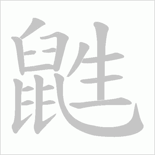 鼪字动态笔顺演示