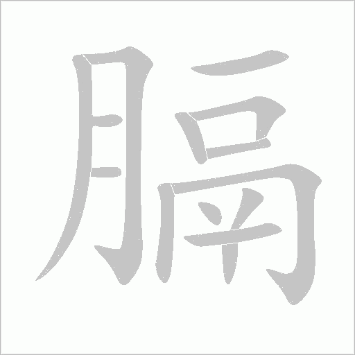 膈字动态笔顺演示