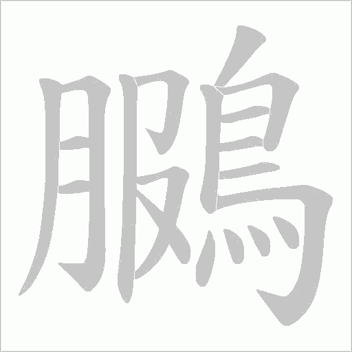 鵩字动态笔顺演示