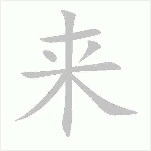 来字动态笔顺演示