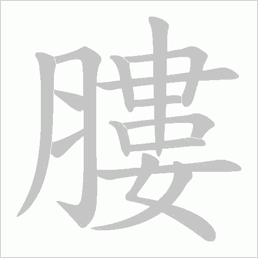 膢字动态笔顺演示