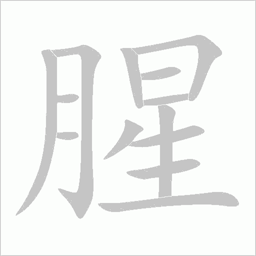 腥字动态笔顺演示