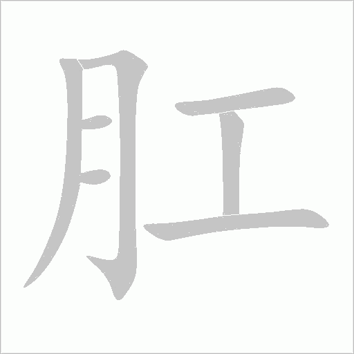 肛字动态笔顺演示