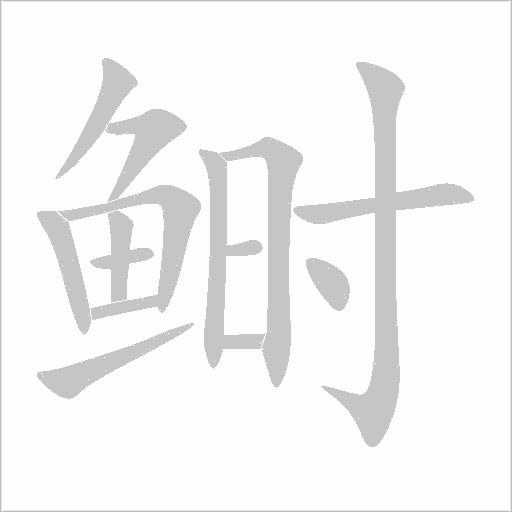鲥字动态笔顺演示