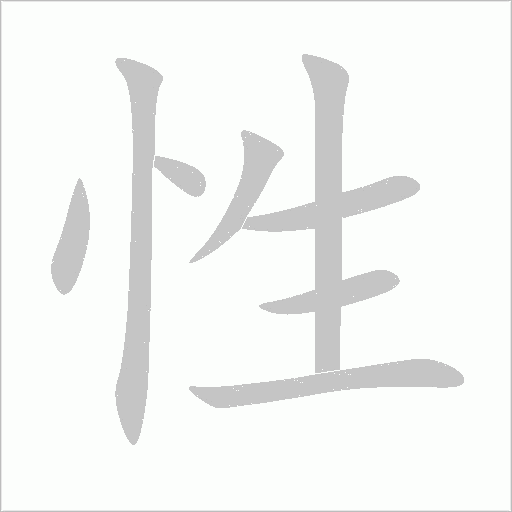 性字动态笔顺演示