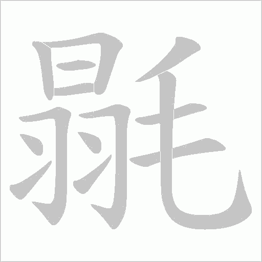 毾字动态笔顺演示