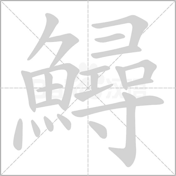 鱘字动态笔顺演示