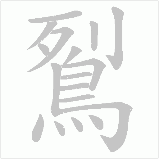 鴷字动态笔顺演示