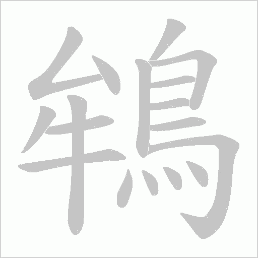 鴾字动态笔顺演示