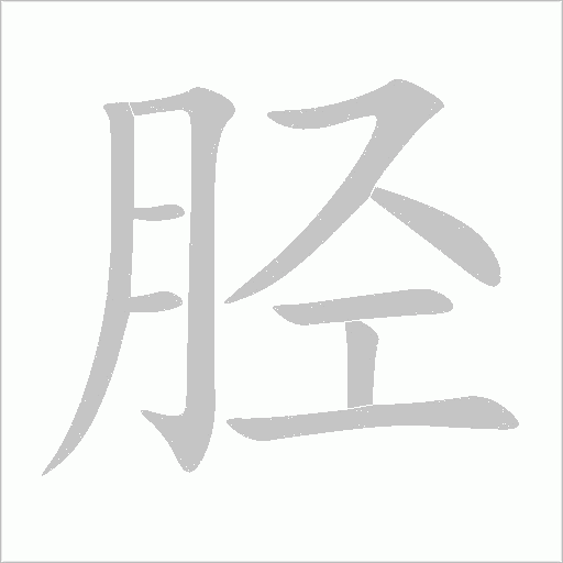 胫字动态笔顺演示