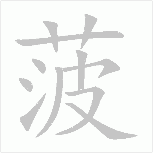 菠字动态笔顺演示