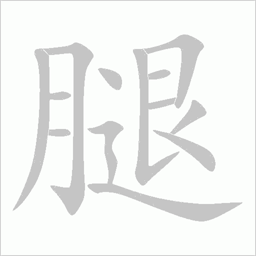 腿字动态笔顺演示