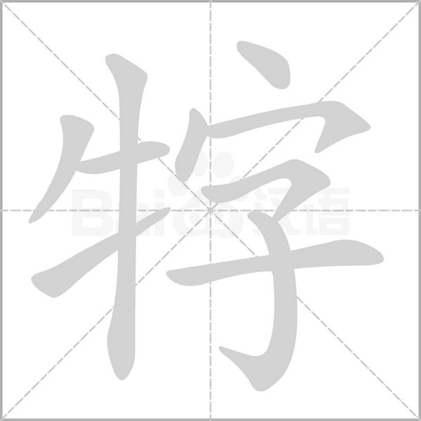 牸字动态笔顺演示