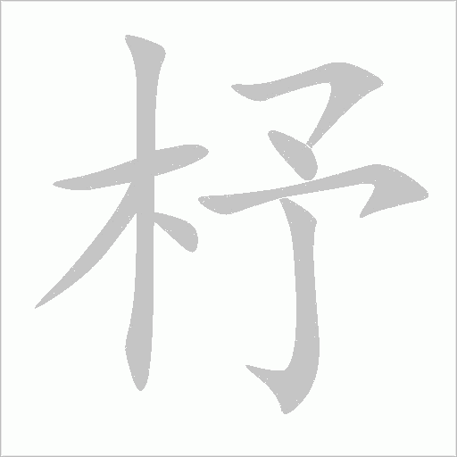 杼字动态笔顺演示