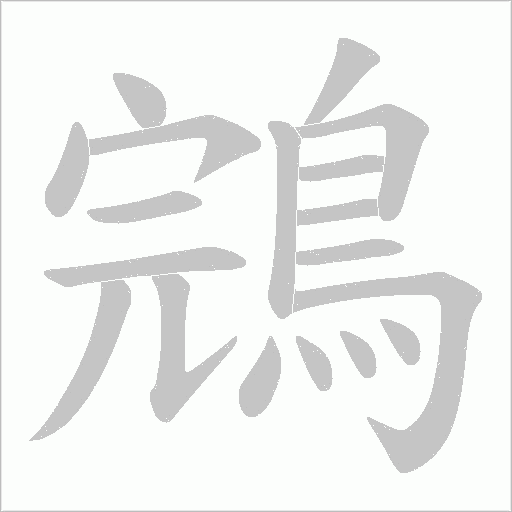 鵍字动态笔顺演示