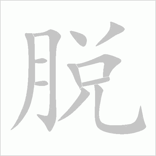 脱字动态笔顺演示