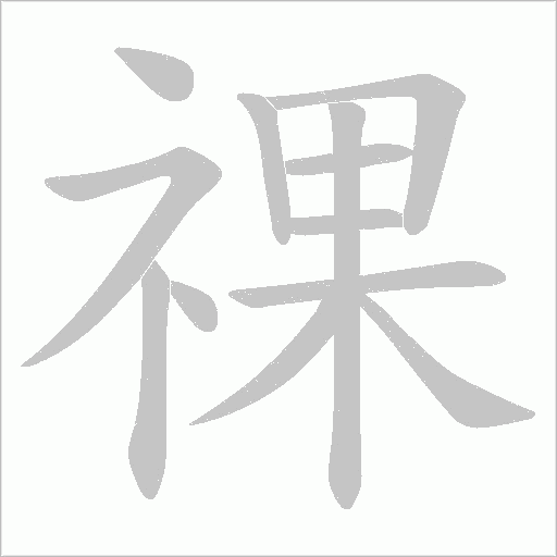 祼字动态笔顺演示