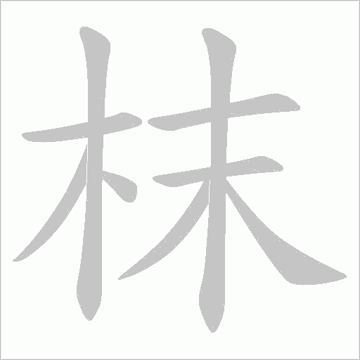 枺字动态笔顺演示