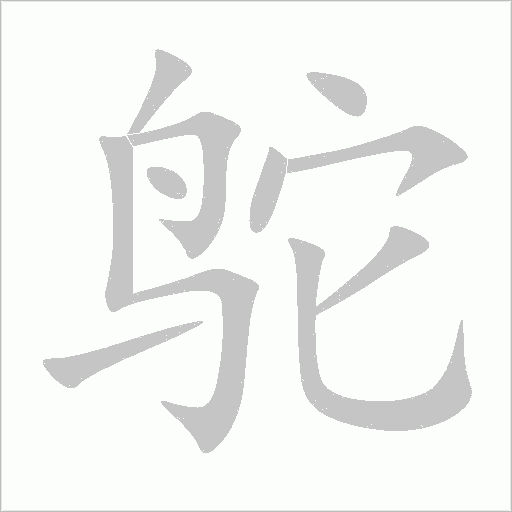 鸵字动态笔顺演示