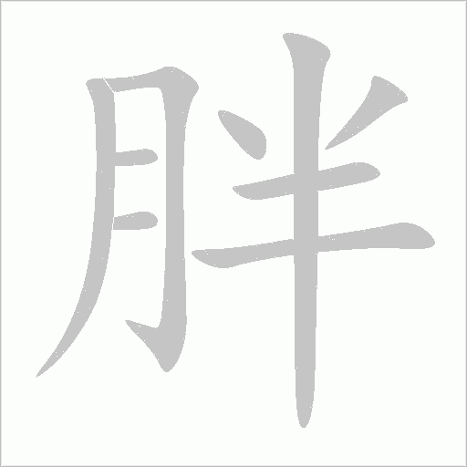 胖字动态笔顺演示