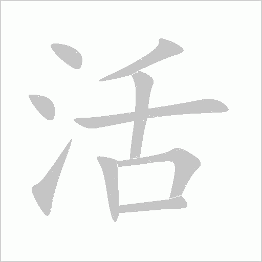 活字动态笔顺演示