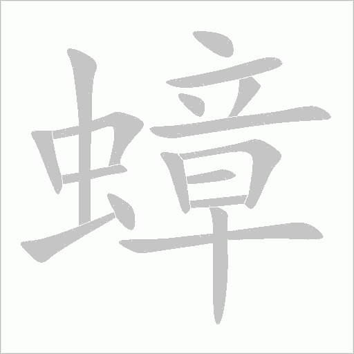 蟑字动态笔顺演示