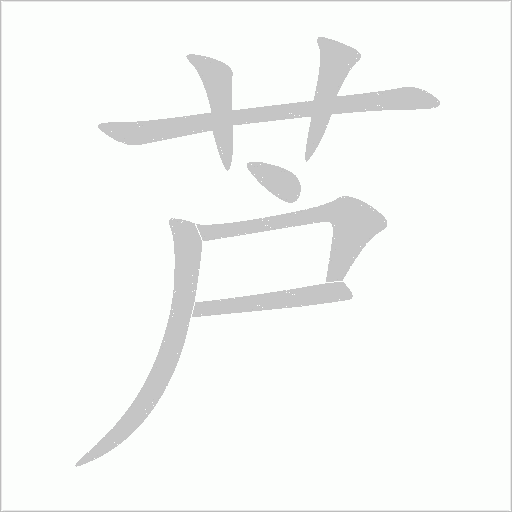 芦字动态笔顺演示