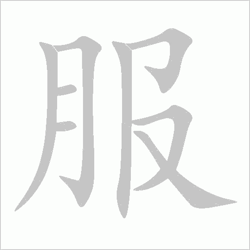 服字动态笔顺演示