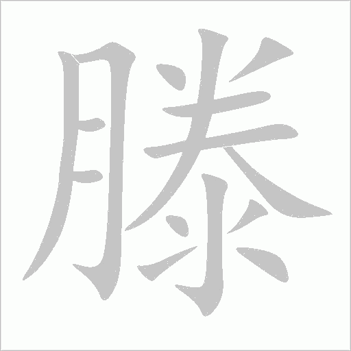 滕字动态笔顺演示