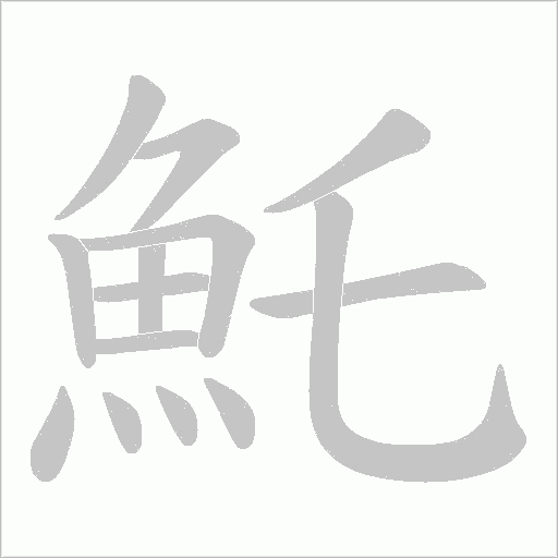 魠字动态笔顺演示
