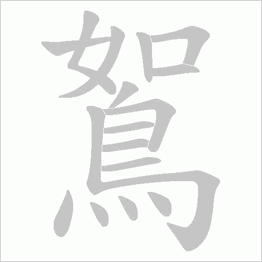 鴽字动态笔顺演示
