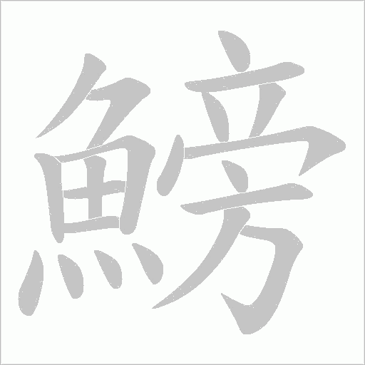 鰟字动态笔顺演示